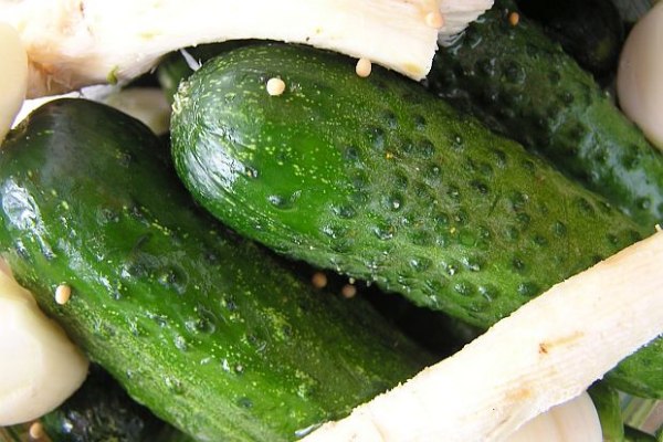 Киселото зеле синьото сирене и туршиите не звучат като най здравословните