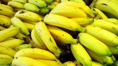 Мед за раните, банани срещу махмурлук