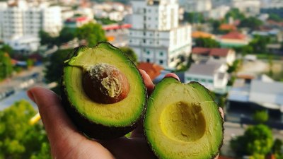 Авокадо срещу стареене и излишни килограми